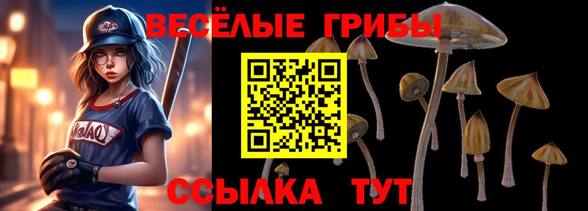 Наро-Фоминск  даркнет сайт  Псилоцибиновые грибы ЛСД  Вход с VPN  Галлюциногенные грибы Psilocybine cubensis 